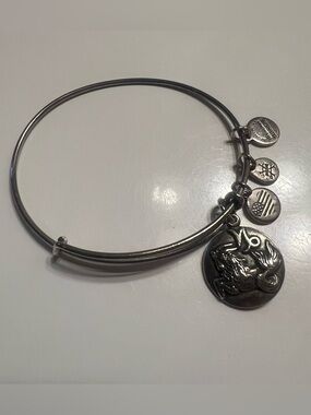Alex and Ani Capricorn Charm Bracelet